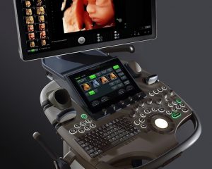 産婦人科エコーパーフェクトマニュアル 動画を含む電子版付 産婦人科エコーパーフェクトマニュアル【動画を含む電子版付
