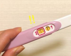 早期妊娠検査薬 【徹底解説】妊娠検査薬はいつから使える？どんな仕組み？